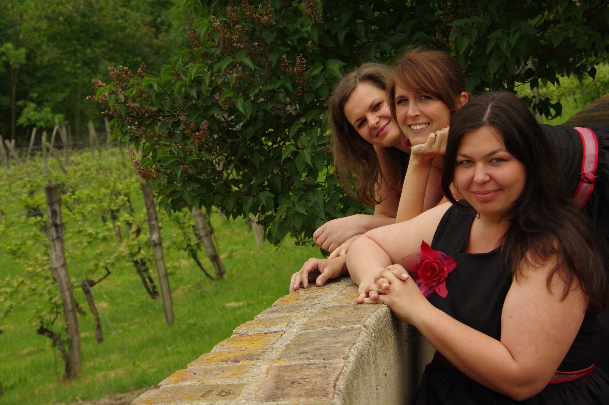 gallery-4